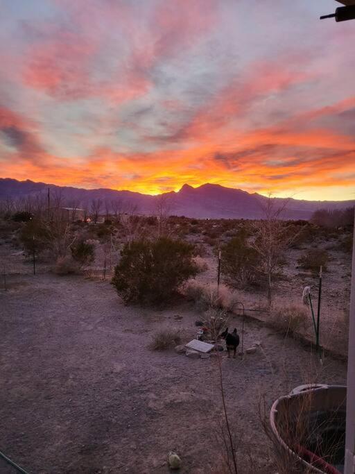 A Rest After A Day In The Death Valley Desert Scranton Exterior foto
